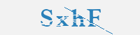 보안문자